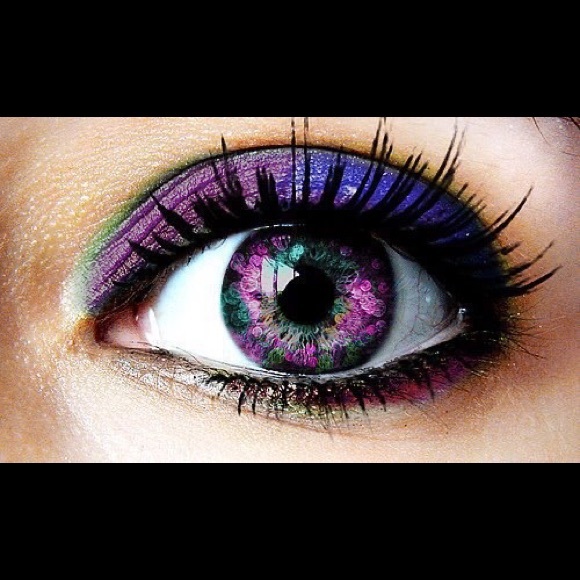 Meet your Posher, Kanela - Picture 4 of 7